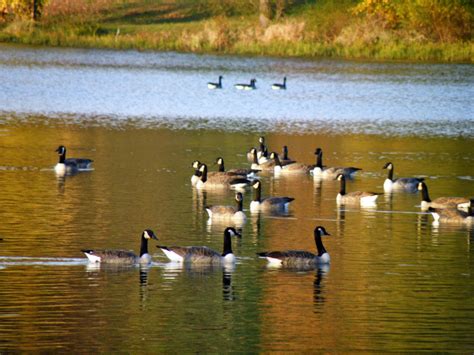 Kansas City Kansan: First day of fishing for Wyandotte County changed