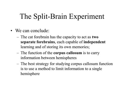 Contact Split Brain Behavioral Experiments 的图像结果