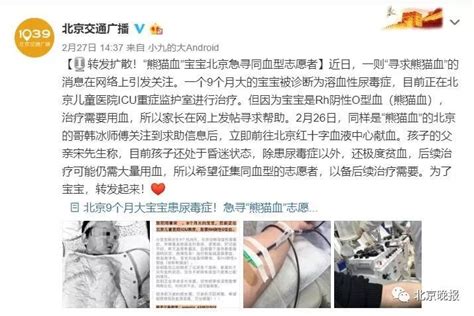 父母都是普通血型，为什么孩子却是“熊猫血型”？_Rh阴性血