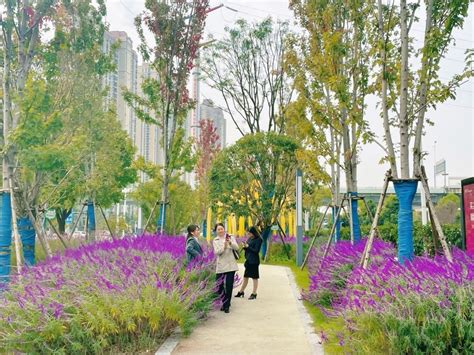“口袋公园”设计师朱晓雨：做“有温度”的设计，共建共享美好街区_腾讯新闻