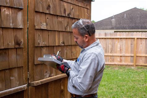 Warning Signs of Termites Without Wings: Stay Alert