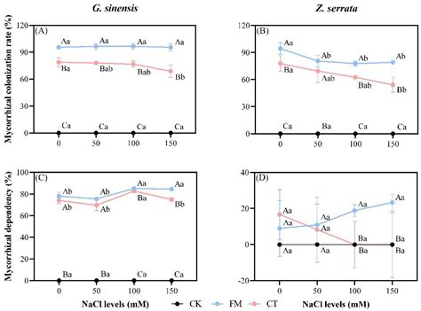 Arbuscular Mycorrhizal Fungi Alleviate Salt Stress Damage by ...