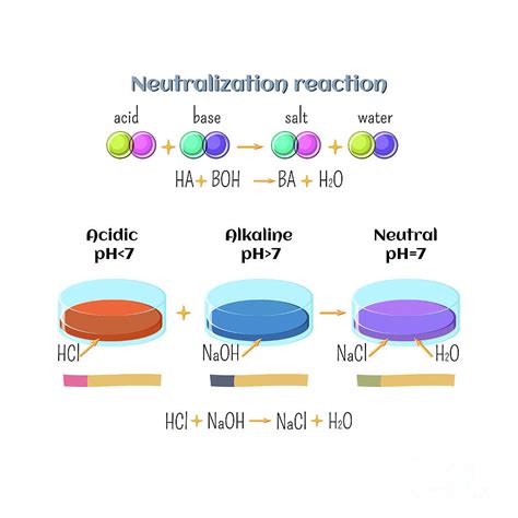 Image result for Acid and Base Neutralization