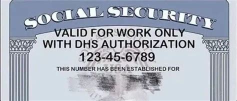 美国身份证图片_美国身份证素材_美国身份证高清图片_摄图网图片下载