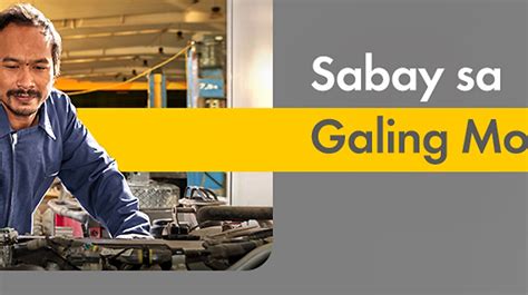 Image result for Aztec Shell Rimula