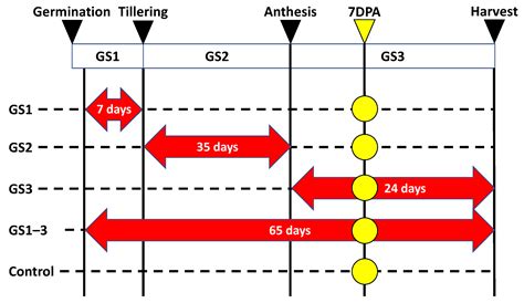 Metabolome Profiling of Heat Priming Effects, Senescence, and ...