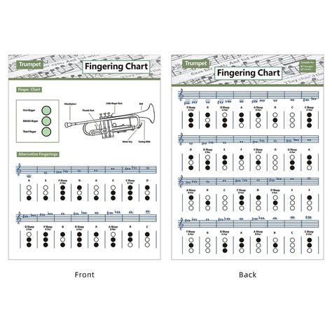 Buy MUMIAO Trumpet Chord Fingering Chart | Trumpet Fingering Trumpet ...