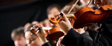 Image result for Orchestral Instruments