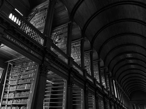 Chicken Scratch: Art – Black and White | The Review