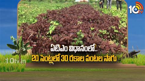 ATM Cultivation : ఏటీఎం విధానంలో.. 20 సెంట్లలో 30 రకాల పంటల సాగు ...