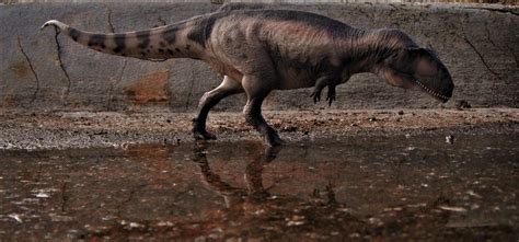 Image result for Mapusaurus Lived