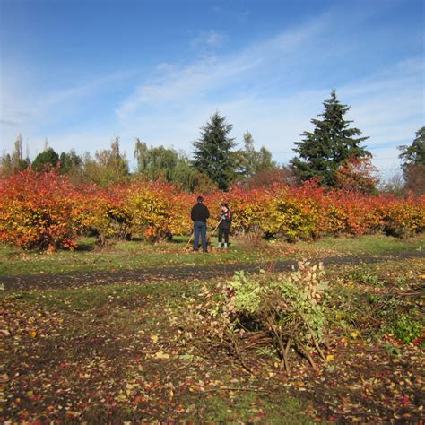 حفل العمل الشهري في حديقة بلوبيري في شارلوت - تم إلغاؤه - باركس تاكوما