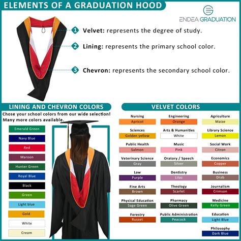Masters Hood For Nursing - Apricot/Navy Blue/Gold