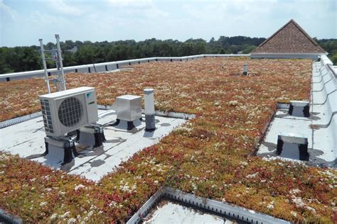 Waters Landing Elementary - LiveRoof