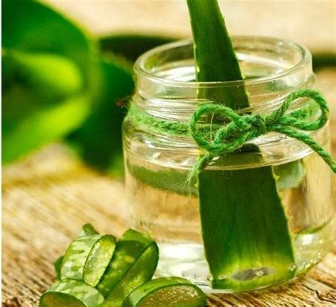 Anti Dandruff Shampoo + 32 Herbs Hair Regrowth Oil – Lakshmi Krishna ...