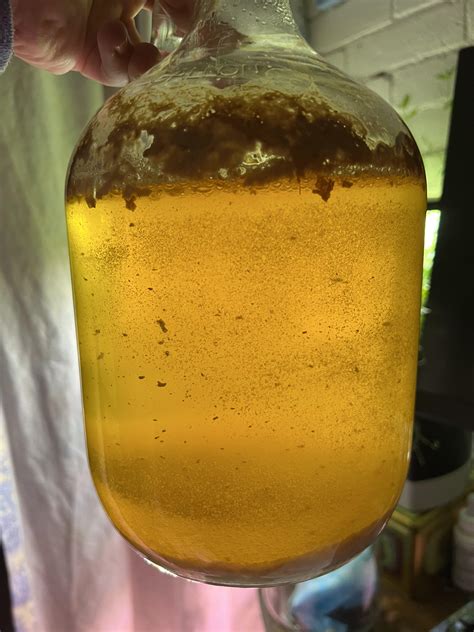 In my recent homebrew everything seems to be going fine asides from ...