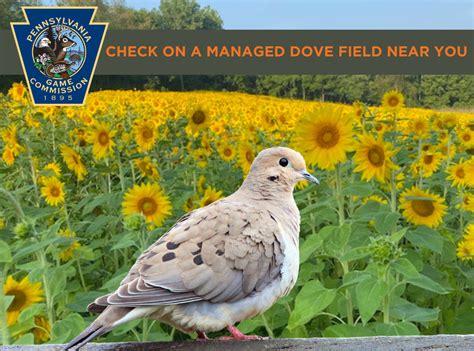 Hunting season kicks off next week!