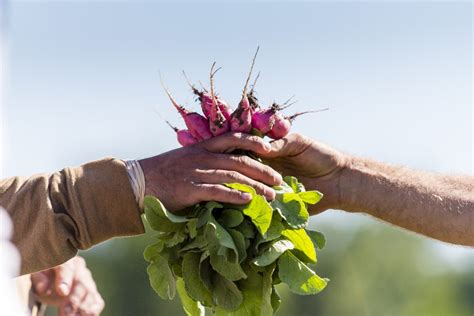Locally Sourced Produce 的图像结果