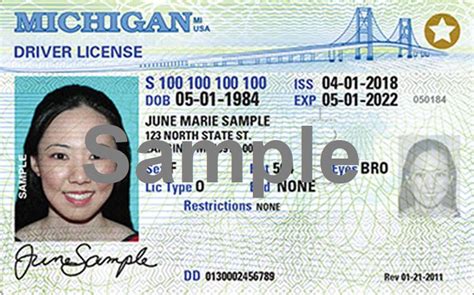Michigan Driver's License Test 的图像结果