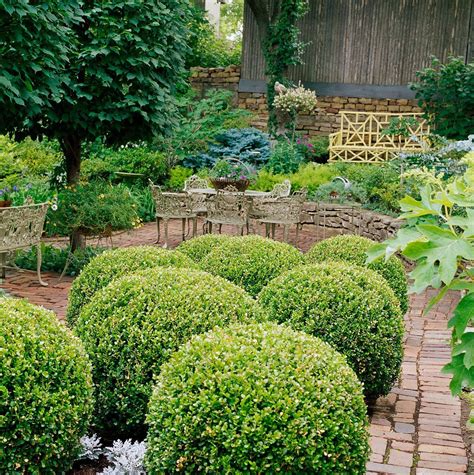 How to Pick the Best Bushes and Shrubs for Landscaping Your Yard ...