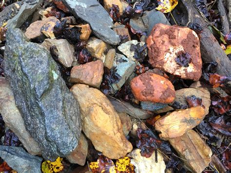 Image result for Spring Water Collection