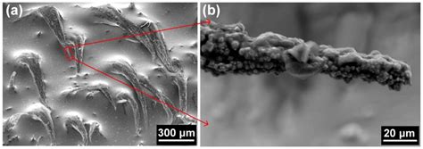 Shape Memory Effect in Micro-Sized Shape Memory Polymer Composite Chains