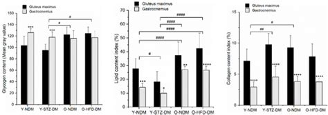 Application of FTIR Spectroscopy to Detect Changes in Skeletal Muscle ...