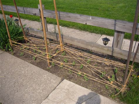 Pea Trellises for Your Garden | Mama Martin