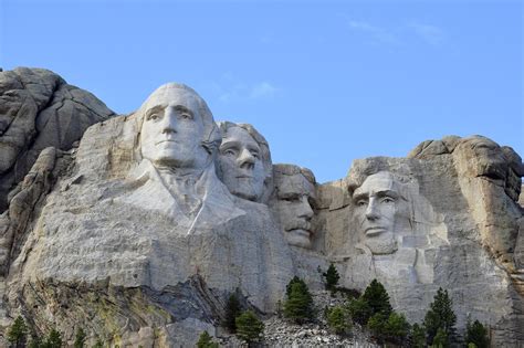 Image result for TreeView File