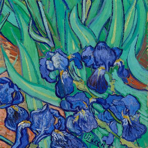 Vincent Van Gogh Irissen Van Gogh Diamond Painting Craft "Irises" At