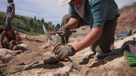Unearthing dinosaur fossils near Lewistown