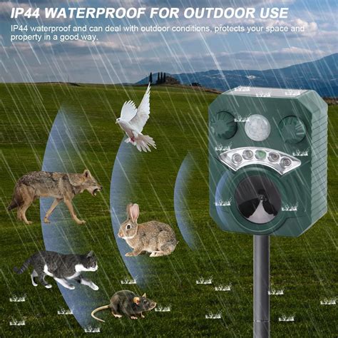 Buy Ultrasonic Solar Cat Dog Repellent Fox Pest Scarer Deterrent ...