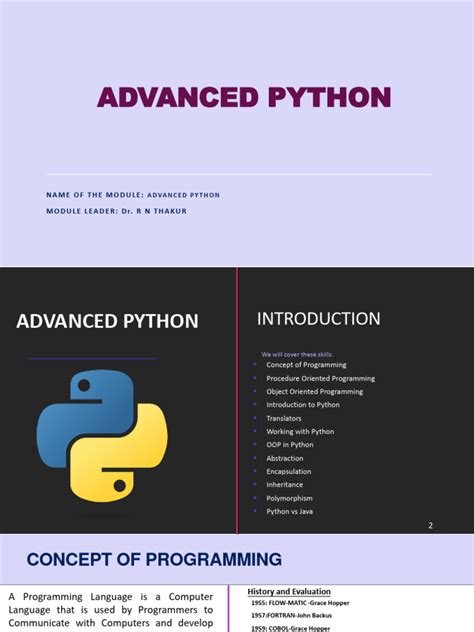 Python Project Organisation OOP 的图像结果