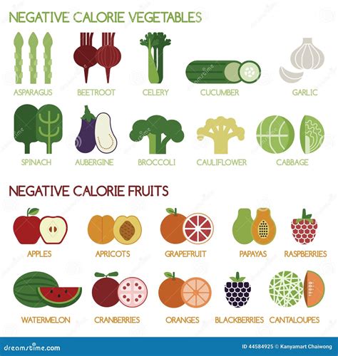 Negative Calorie Vegetables and Fruits Stock Vector - Illustration of ...