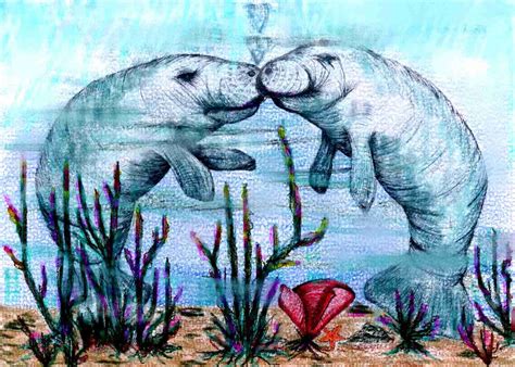 Manatees | Manatee art, Drawing skills, Art