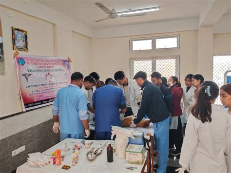 Sterilisation and anti rabies vaccination | Lakhimpur Medical College ...
