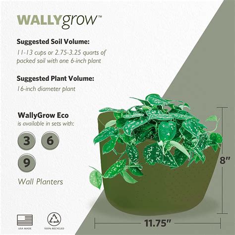 Buy WallyGrow Eco Wall Planter, Create a Plant Wall with Hanging ...