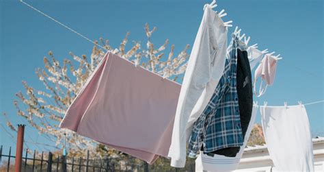 Image result for Circular Polarizer Filter Tutorial