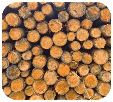 Image result for PureVision Log Burner Using