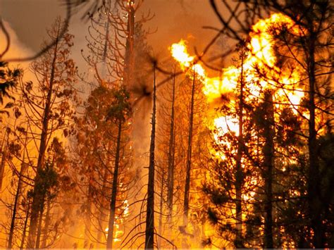 Entertainment giants commit $20M to Los Angeles wildfire recovery ...