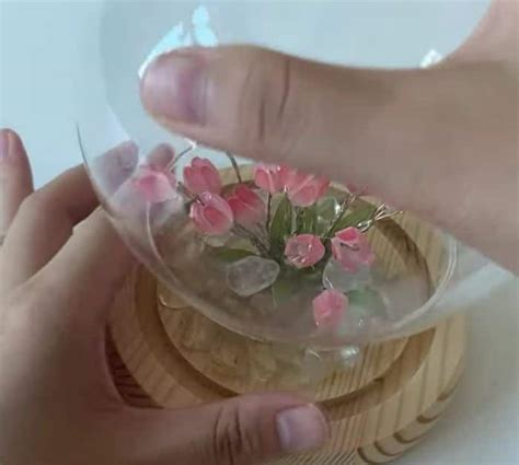 Image result for LAMP Tutorial