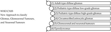 Targeting the Endocannabinoid System Present in the Glioblastoma Tumour ...