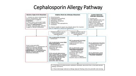 PPT - Beta-Lactam Antibiotic Allergy Evaluation Guideline PowerPoint Presentation - ID:195325