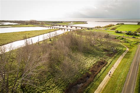 See the world run by at the Hawke’s Bay Marathon | Times Knowledge India