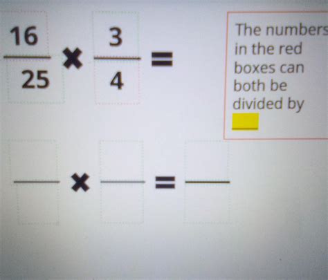 what can 16 and 4 both be divided by - brainly.com