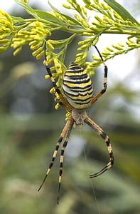 Image result for Databricks for SQL