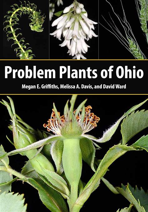 Buy Problem Plants of Ohio Book Online at Low Prices in India | Problem ...