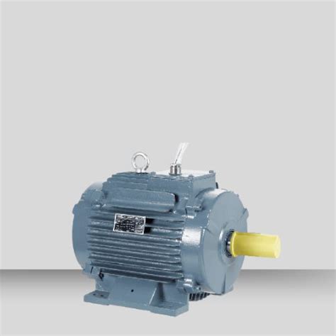 Industrial Motors Authorized Dealer & Supplier, Mumbai, India ...