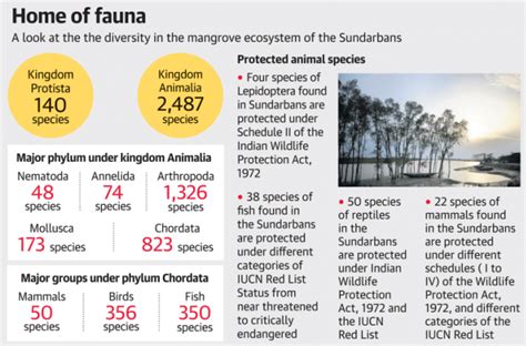 ZSI releases first compendium of animal species in Indian Sundarbans ...