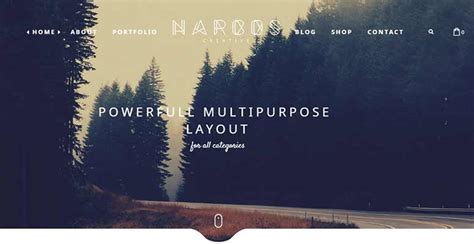 2020'nin En İyi 13 WordPress Freelancer Teması | İnceleGo